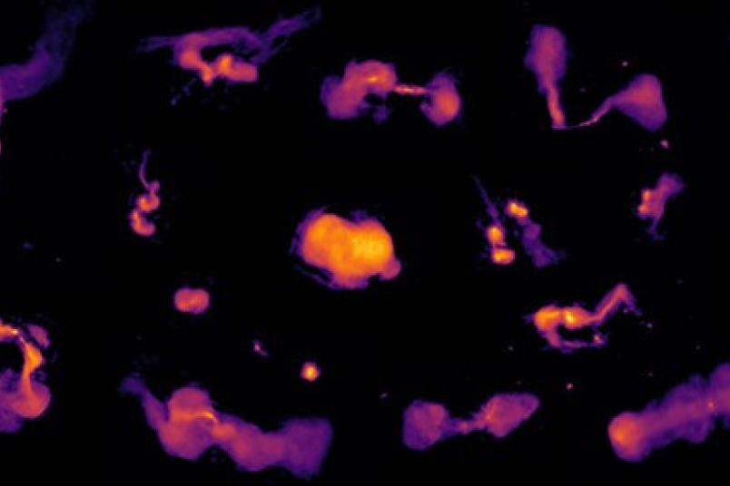 Pink-gelbe Flecken auf schwarzem Grund