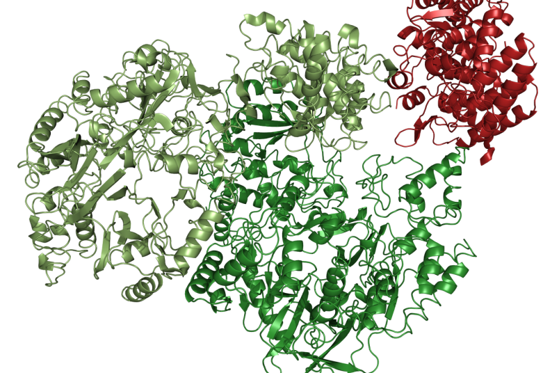 Strukturaufklärung, bei der mehrere Methoden kombiniert wurden. Zu sehen ist der Enzymkomplex des Bakteriums Clostridium maddingley.