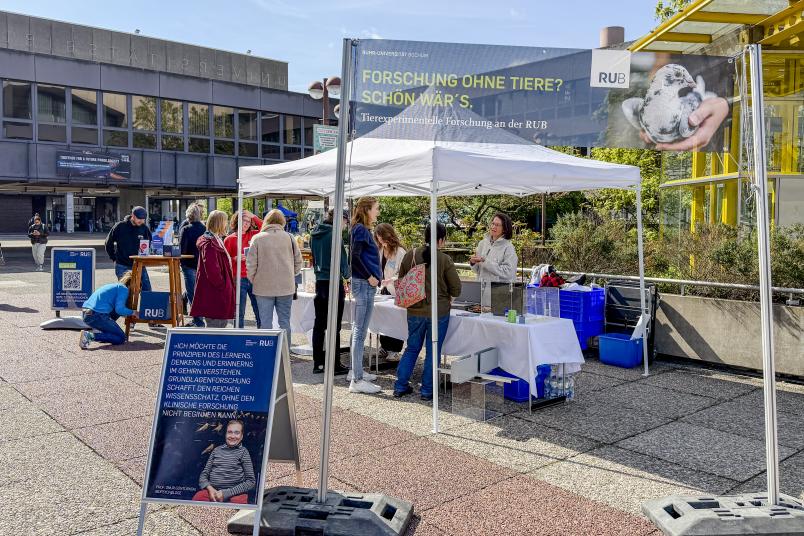Blick auf einen Stand auf dem Campus