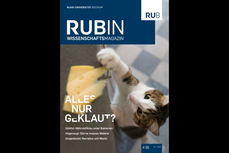 Cover des Wissenschaftsmagazins Rubin mit dem Schwerpunkttitel "Alles nur geklaut?"