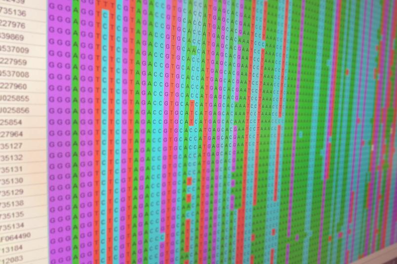 Blick auf einen Monitor mit bunden Spalten