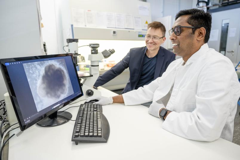 Zwei Männer schauen auf einen Monitor, der eine rundliche Zellansammlung zeigt