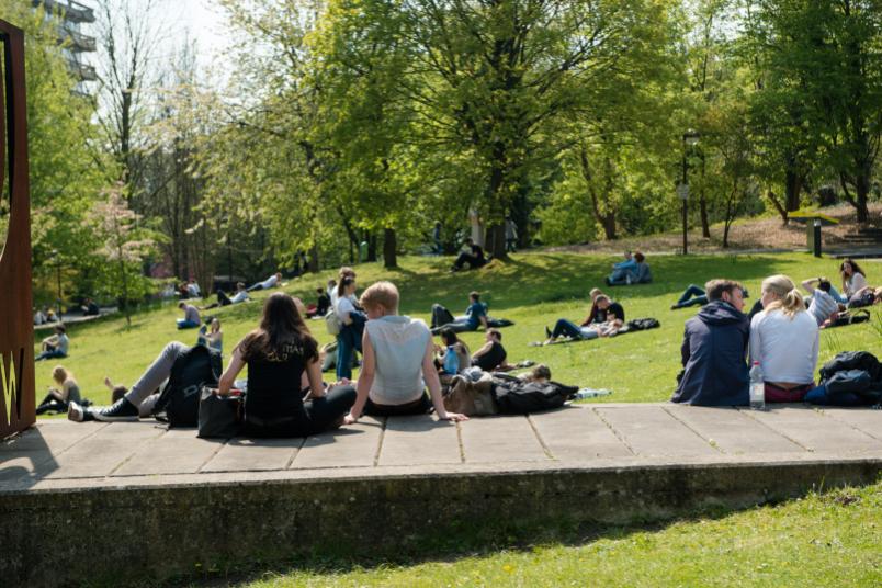 Studierende auf der Wiese