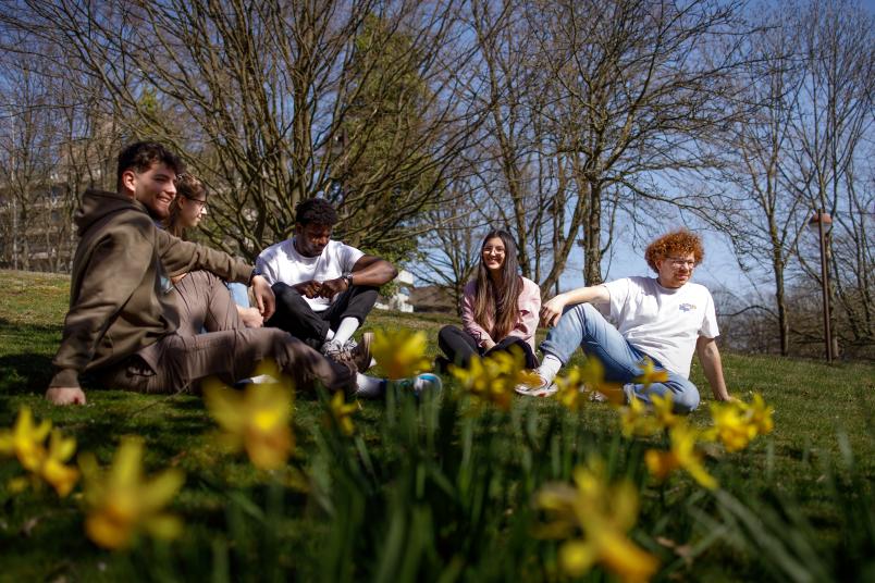 Fünf Menschen sitzen auf einer Wiese, unterhalten sich und lachen. Vorne sind gelbe Blumen zu sehen.