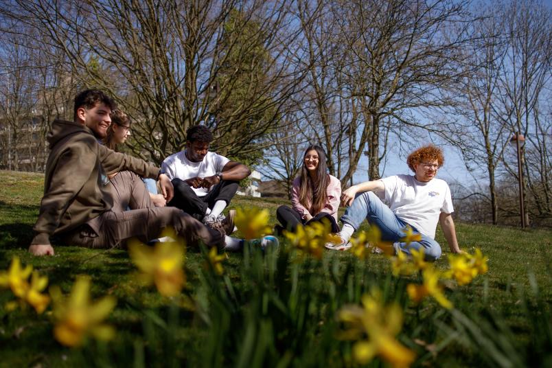 Fünf Menschen sitzen auf einer Wiese, unterhalten sich und lachen. Vorne sind gelbe Blumen zu sehen.