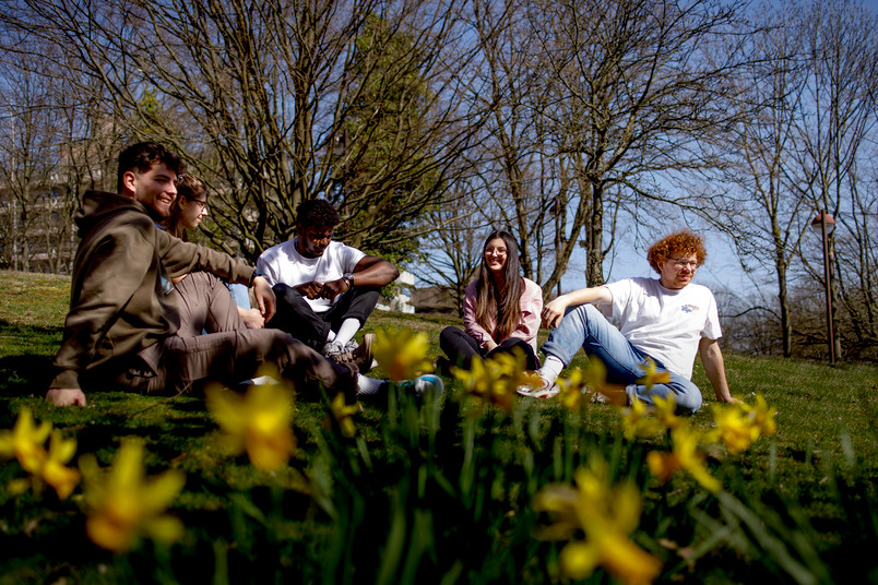 Fünf Menschen sitzen auf einer Wiese, unterhalten sich und lachen. Vorne sind gelbe Blumen zu sehen.