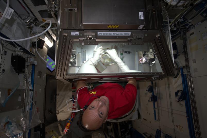 Astronaut mit den Händen in einer Box