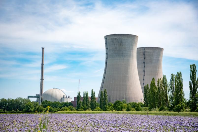 Blumenwiese vor einem Kernkraftwerk