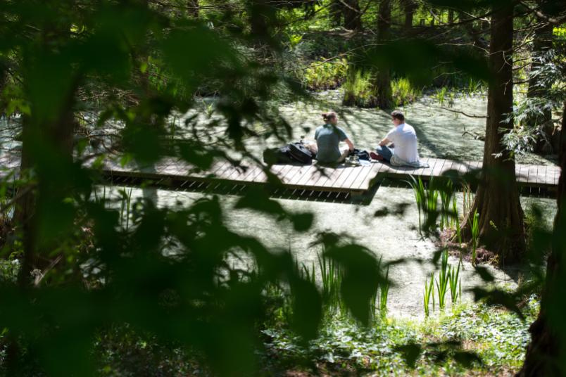 Studierende sitzen auf Steg im Botanischen Garten