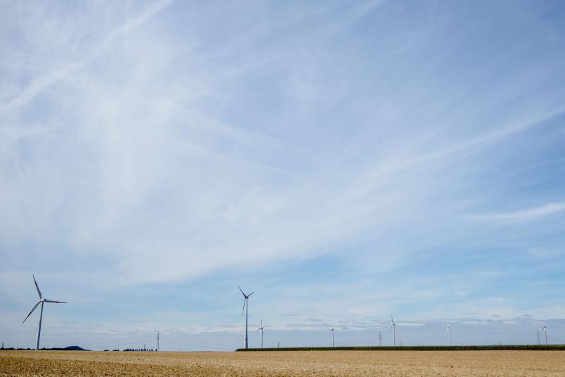 Windräder auf einem Feld