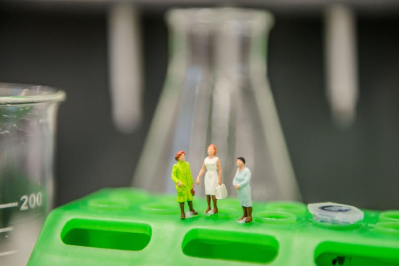 Kleine Figuren stehen auf einem Reagenzglashalter.