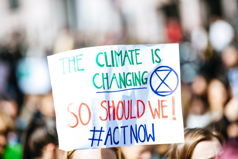 Symbolbild für Fridays for Future
