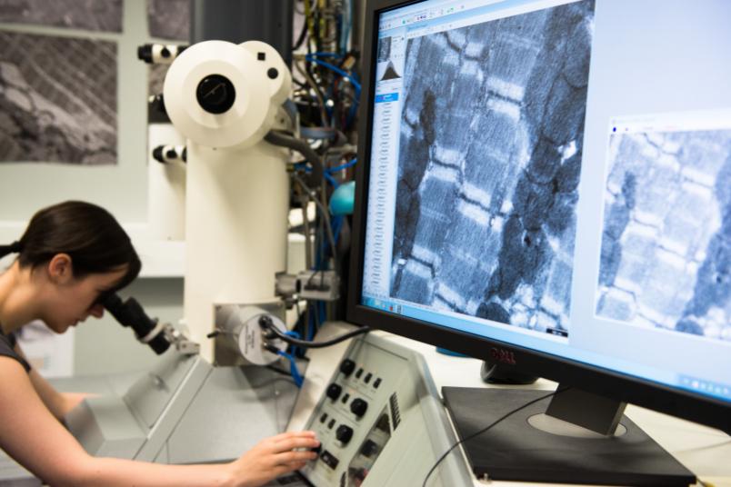 Mit zwei Tenure-Track-Professuren wird die medizinische Forschung mit großen Datenmengen – Big Data – gefördert.