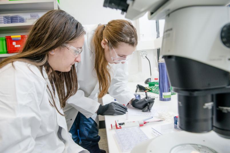 Stellvertreterbild Frauen in der Wissenschaft