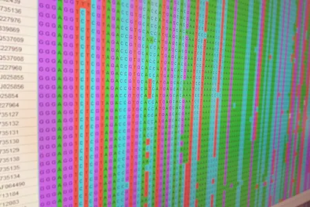 Blick auf einen Monitor mit bunden Spalten