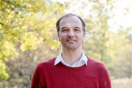 Ein Mann im roten Pullover steht vor einem sonnendurchfluteten Baum