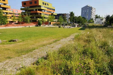 Foto einer Landschaft mit Rasen und Wildblumen vor Mehrfamilienhäusern